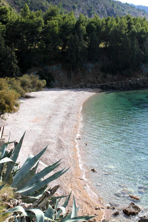 Apartments By The Sea Komiza, Vis - 2429 Exteriér fotografie